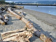 Process Server in Everett City, Everett, WA