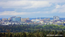 Intercity Everett Paralegal Services