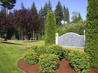 Silver Firs Paralegal Services