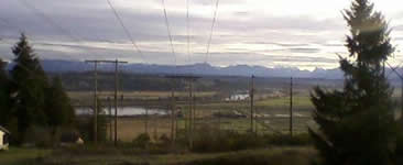 Deliver Working Copies in Forest Park, Everett, WA