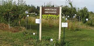 Legion Park, Everett, WA