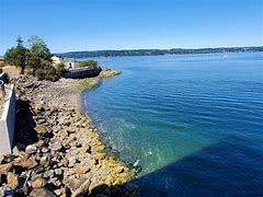 Process Server Near in North Harbor, Everett, WA