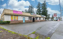 Process Server in Wall, Everett, WA